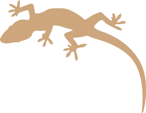 emesit Gecko